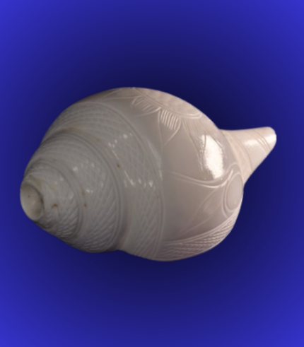 Natural White Carved Pattern Shankha (Conch Shell) – Decorative Engraved Finish