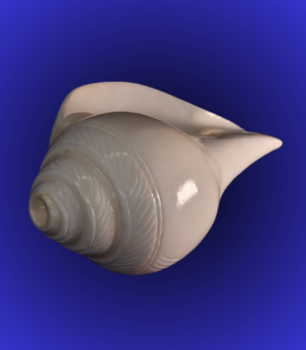 Natural White Carved Pattern Shankha (Conch Shell) – Smooth Engraved Finish