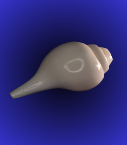 Natural White Smooth Shankha (Conch Shell) – Long Tip Classic Puja Conch