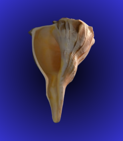 Purple Royal Dress Jagannath Balabhadra Subhadra Idol Set