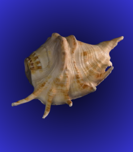 Premium Stone-Studded Jagannath Balabhadra Subhadra Idol Set