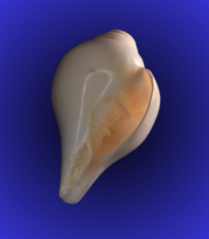 Jagannath Trio with Decorative Flag – Hand-Painted Wooden Set