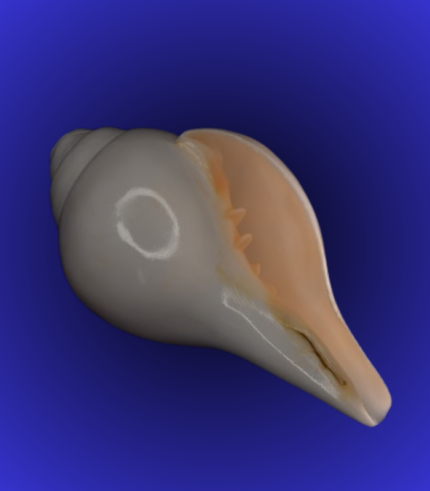 Jagannath Sacred Wooden Flag – Set of Four Sizes