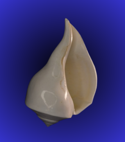 Jagannath Trio Temple Frame Wooden Wall/Table Decor